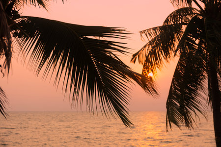 Silhouette coconut palm tree on sea and sunset sky backgroundの写真素材