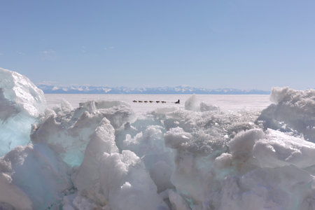 Sled Dogs Run on the Frosen Lakeの写真素材