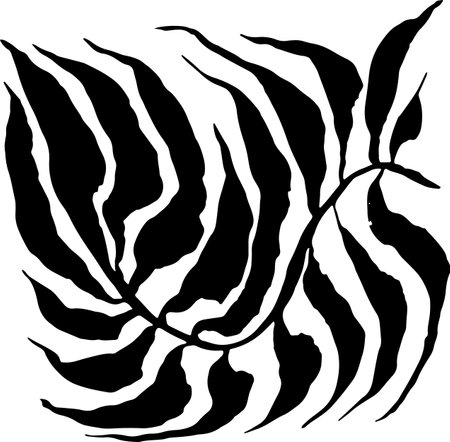 Tropic Leaf Black Square Silhouetteのイラスト素材