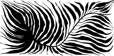 Tropic Leaf Black Square Silhouetteのイラスト素材