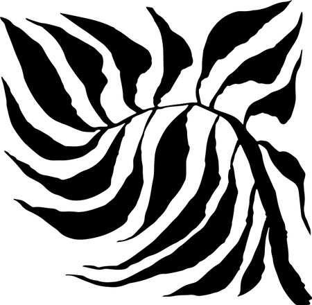 Tropic Leaf Black Square Silhouetteのイラスト素材