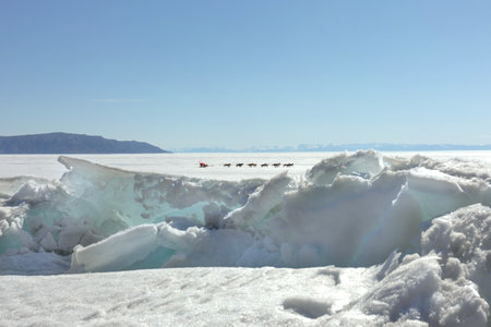 Santa Rides in a Dog Sled on a Frosen Lakeの写真素材