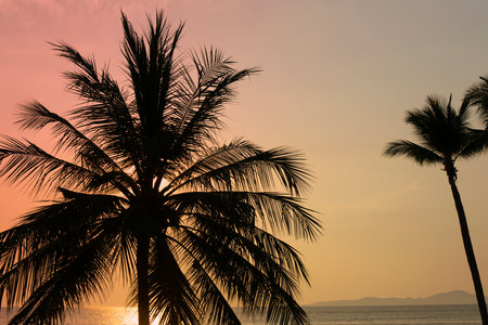 Silhouette coconut palm tree on sea and sunset sky backgroundの写真素材