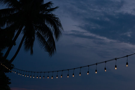 Light Bulbs Garland on Sunset Coconut Palm Tree Silhouette Backgroundの写真素材