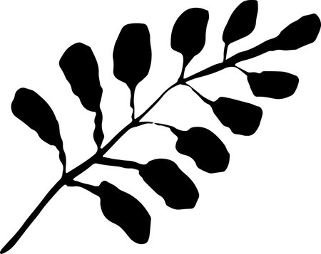 Leaf Grunge Artwork Brush Silhouette Elementのイラスト素材