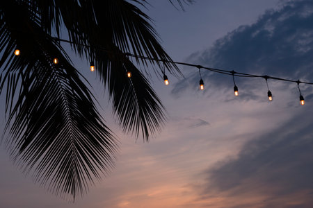 Light Bulbs Garland on Sunset Coconut Palm Tree Silhouette Backgroundの写真素材