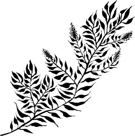 Leaf Grunge Artwork Brush Silhouetteのイラスト素材