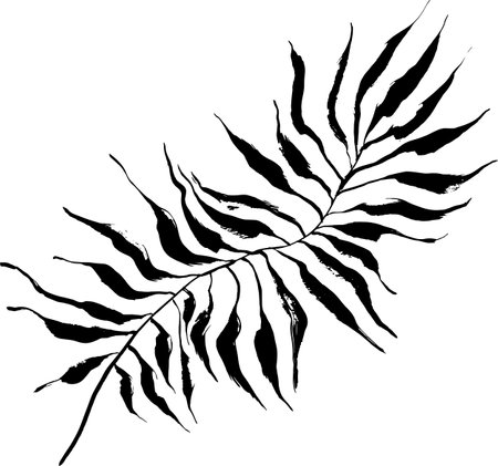 Artwork Brush Palm Tree Leaf Silhouetteのイラスト素材