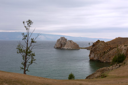 Lonely Larch on Lake Baikal Backgroundの写真素材