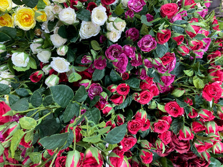 Pastel Artificial Colorful Flowers Background.の写真素材