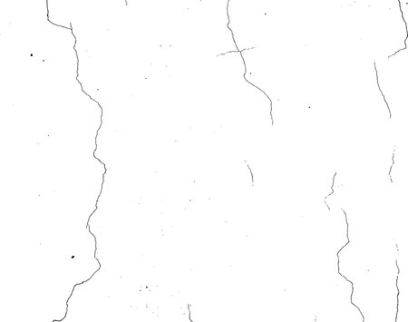 Black Realistic Cracks Isolated on White Backgroundのイラスト素材