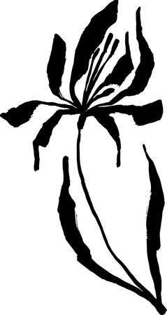 Hand Drawn Brush Ink Grunge Iris Flowerのイラスト素材