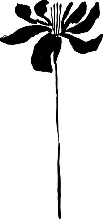 Hand Drawn Brush Ink Grunge Iris Flower.のイラスト素材