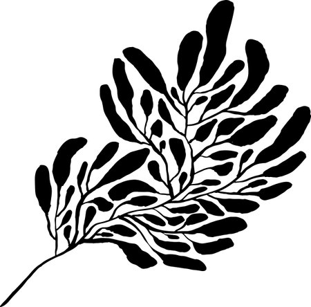 Leaf Grunge Artwork Brush Silhouette Element.のイラスト素材