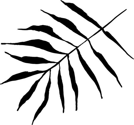 Artwork Brush Palm Leaves Silhouette.のイラスト素材