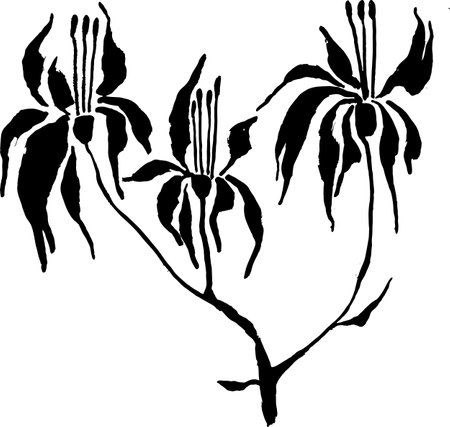 Hand Drawn Brush Ink Grunge Iris Flower.のイラスト素材