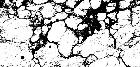 Black and White Marble Stone Vector Textureのイラスト素材