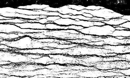 Black and White Marble Stone Vector Textureのイラスト素材