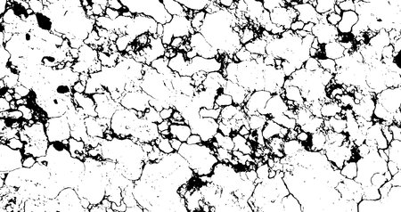 Black and White Marble Stone Vector Textureのイラスト素材