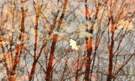 autumn landscape with reflection in waterの写真素材