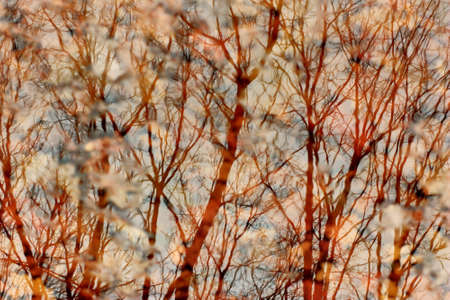 autumn landscape with reflection in water