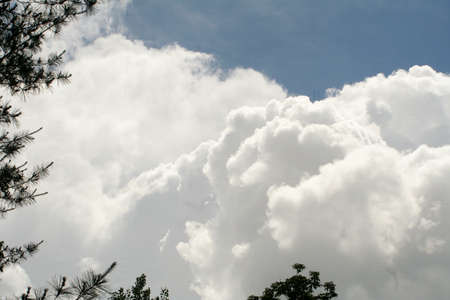 Thunder Headsの写真素材