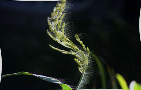 Breezyの写真素材
