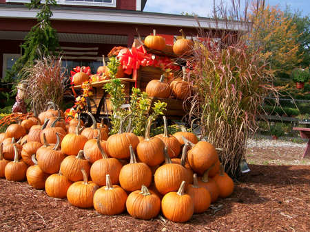 Harvest Timeの写真素材