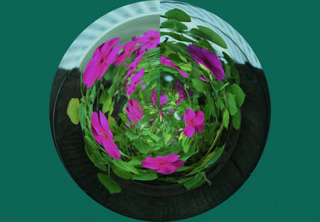 Garden Sphereの写真素材