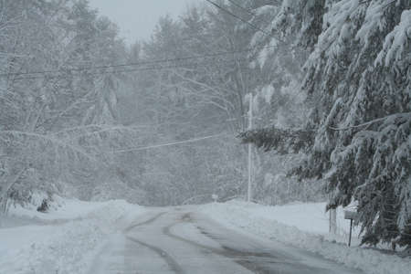 Snow Storm 1の写真素材