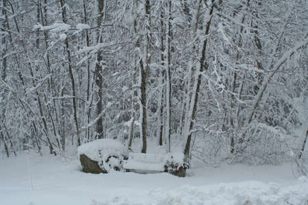 Snow Storm 2の写真素材