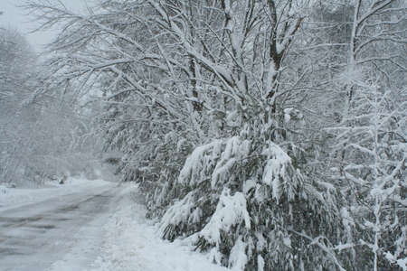 Snow Storm 3の写真素材