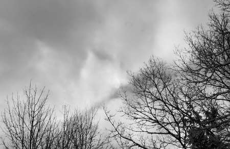 Winter 4の写真素材