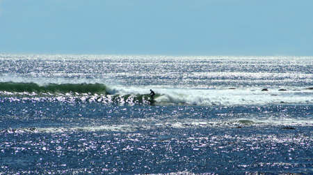 Surfingの写真素材