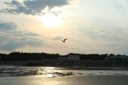 Sea Shoreの写真素材