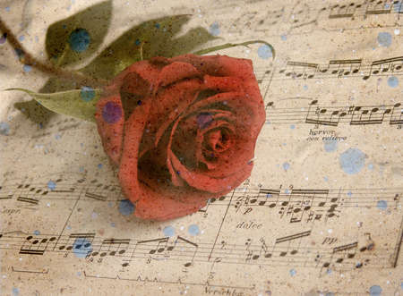 Grunge aged textured rose    の写真素材