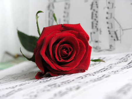 LOVE SONG FOR YOU   の写真素材