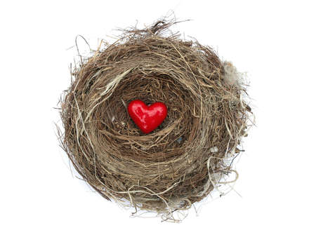 Red heart in bird's nest over white background          の写真素材