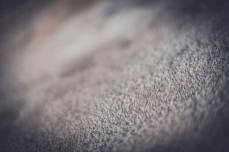 carpet texture の写真素材