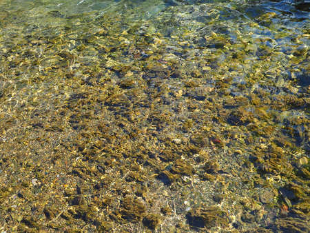 very clear water seeing stone at the river.