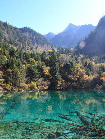 Jiuzhai Valley is most renowned for its stunning natural scenery of colorful lakes, mature forests, and spectacular waterfalls.の写真素材