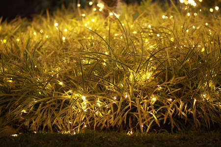 christmas light の写真素材