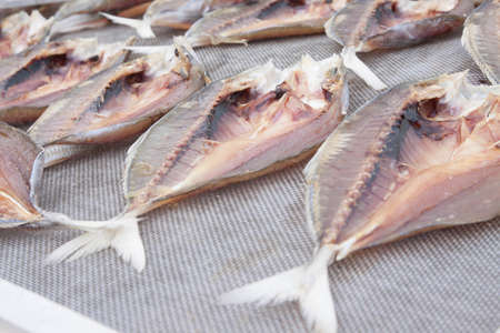 Dried Small fish used in Asian cuisineの写真素材