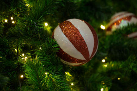 Christmas ornaments on the Christmas treeの写真素材