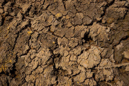 Drought, the ground cracks, no water, lack of moisture. Dried and Cracked ground,Cracked surface,Dry soil in arid areas. Gray texture backgroundの写真素材