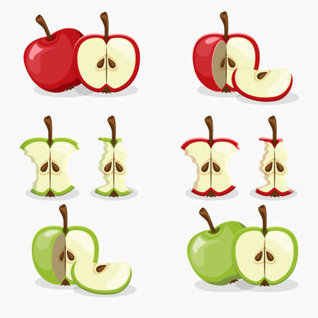 apples and apple cut fruit set vectorのイラスト素材