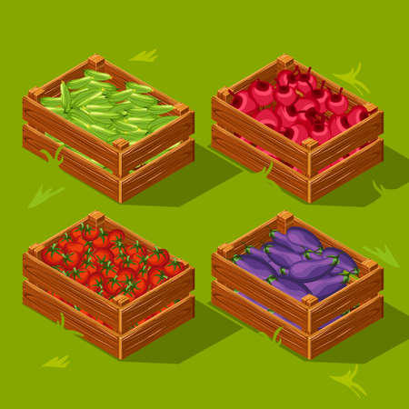 Wooden box with vegetables. Cucumbers, tomatoes , eggplants and beetsのイラスト素材