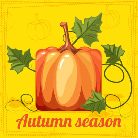 Fall Season, Autumn Orange Square stylized Pumpkin Vegetableのイラスト素材