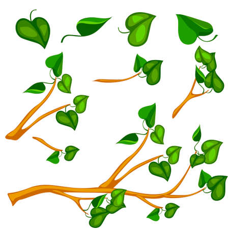 Green Leaves on branch, vector object.のイラスト素材