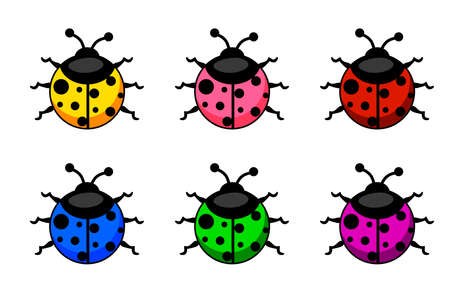 Cartoon colorful Ladybug set. Animals and insects text nameのイラスト素材